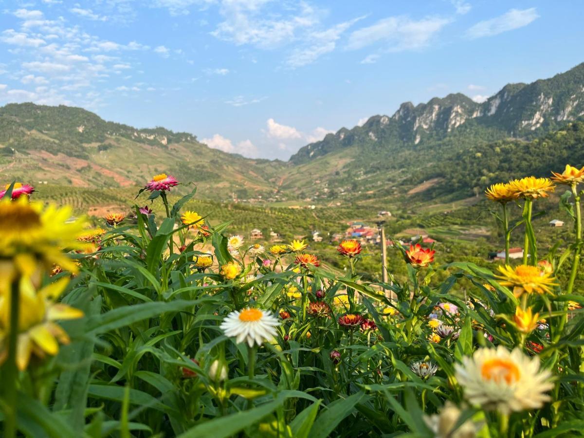 Muong Sang Farmstay Moc Chau Eksteriør billede